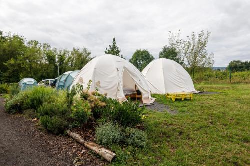 a group of tents sitting in a field at Kemp Děčín in Děčín