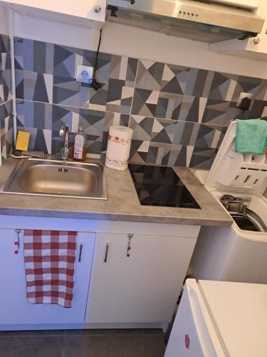 une petite cuisine avec un évier et une cuisinière dans l'établissement Joli petit 2 pièces, à Asnières-sur-Seine