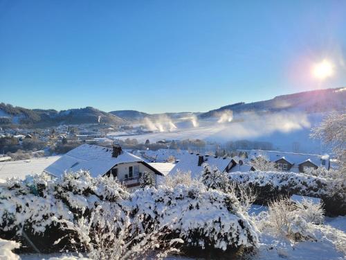 a house covered in snow with fog in the background at Skyline Luxus Suite Willingen in Willingen