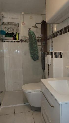 une salle de bain avec une douche, des toilettes et un lavabo dans l'établissement BEACH APPART, à Nice