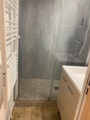 une salle de bain avec douche et lavabo dans l'établissement APPARTEMENT MONTAGNE, à Thollon-les-Mémises