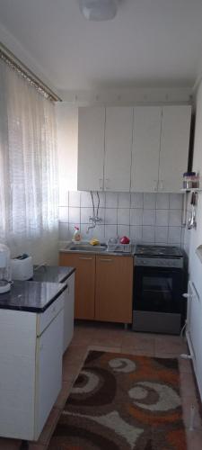 Virtuvė arba virtuvėlė apgyvendinimo įstaigoje Apartment Milan