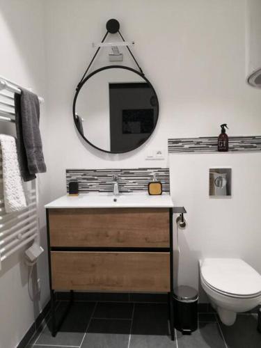 une salle de bain avec un lavabo, des toilettes et un miroir dans l'établissement L'annexe de l'Abbaye, à Auxerre
