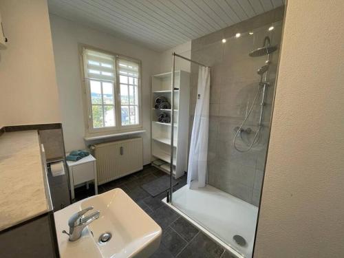 a bathroom with a shower and a sink at Zentrale DG-Oase in Jugendstilvilla (mit Stadtblick) in Wittlich