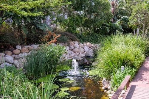 a small pond with a fountain in a garden at Belina - Mayfair Premier in Cape Town