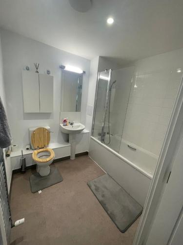 y baño con aseo, ducha y lavamanos. en New Luxury 2 Bedroom apartment with a beautiful London City view, en Barking