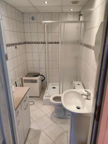 een badkamer met een toilet, een wastafel en een douche bij Domek letniskowy EWA in Turawa