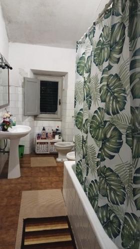a bathroom with a green leafy shower curtain at Palm Tree Room 1 in Prato