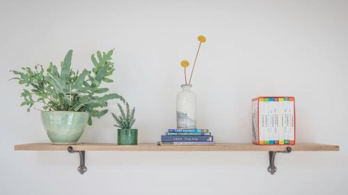 a wooden shelf with two plants and a book at The Garden Room - 1 bedroom annex in Penrith in Penrith