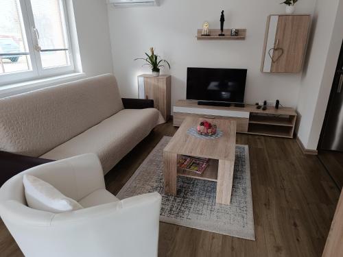 Μια τηλεόραση ή/και κέντρο ψυχαγωγίας στο Apartmány Svítkov 79