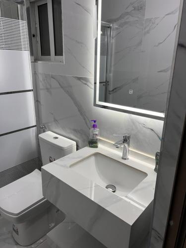 uma casa de banho com um lavatório, um WC e um espelho. em شقه مفروشه بمدخل مستقل و موقف لثلاث سيارات مع ساحات خارجيه em Irbid