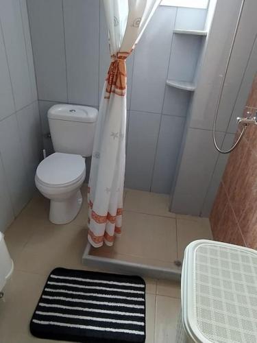 a bathroom with a toilet and a shower curtain at Creta Irini's Rooms2 in Tympáki