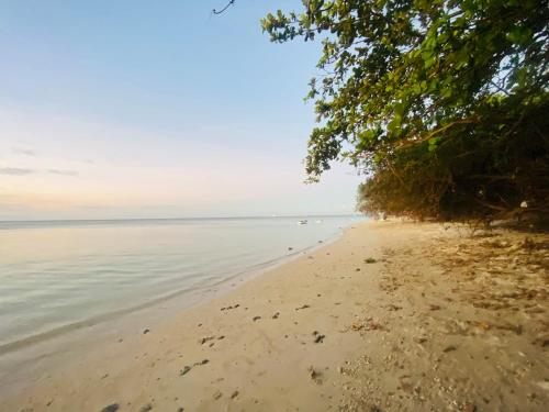 a view of the beach from the shoreline at Fairyland private room in Port Louis