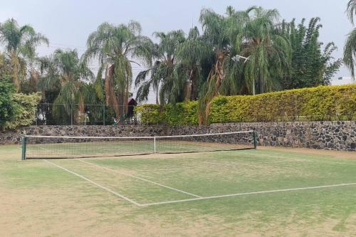 a tennis net on a tennis court with palm trees at Residencia Corinto La Cima Frac Burgos Bugambilias in Temixco