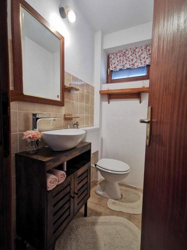 a bathroom with a sink and a toilet at Holiday home Sovica in Vrbovsko