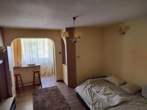 een slaapkamer met een bed, een tafel en een raam bij Hipodrom in Brăila