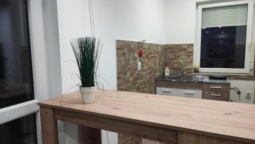 Una cocina o cocineta en Kucerak u Sremu