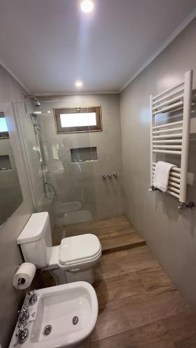 a bathroom with a toilet and a shower and a sink at Paihuen - Resort De Montaña in San Martín de los Andes