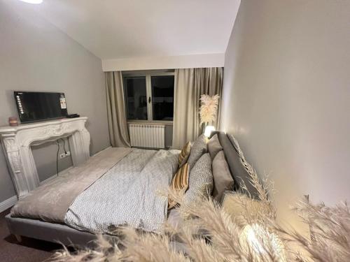 a bedroom with a bed with a fireplace and a television at Lake House by NIVO in Pavlovci
