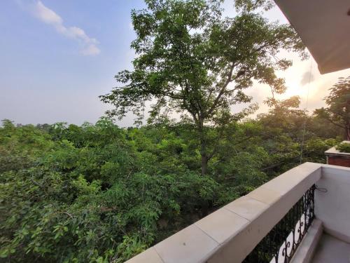 a view of a tree from a balcony at Nice Bedroom with Private Ensuite Bathroom in New Delhi