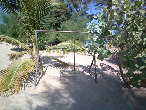 a swing set on the beach with a palm tree at MANGROVE BEACH in Sanyang