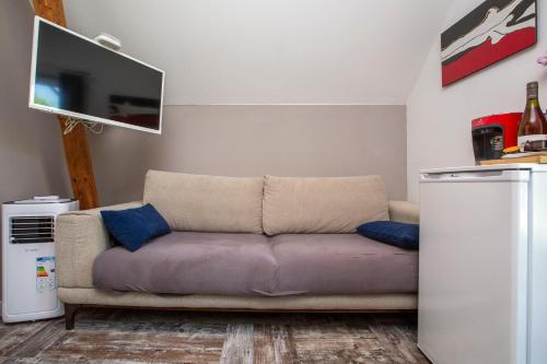 a couch with blue pillows in a living room at BnB Comfort Guesthouse Olten - Lostorf in Lostorf