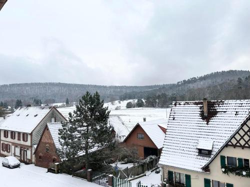 a group of houses with snow covered roofs at Au Wachtfels in Obersteinbach