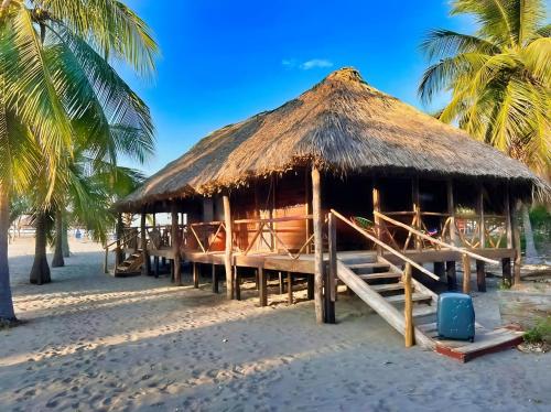 een hut op het strand met palmbomen bij Cabañas Casa de Agua in Boca del cielo