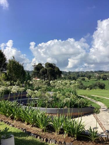 un jardín con flores blancas en un campo en Hotel las carretas , spa y temazcal, en Zacatlán