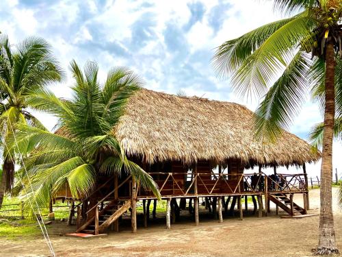 a hut with a straw roof and palm trees at Cabañas Casa de Agua in Boca del cielo