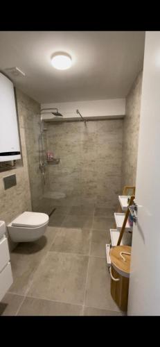 a bathroom with a shower and a toilet and a sink at Divcibare Vrh 26 in Divčibare