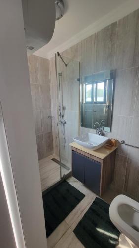 y baño con ducha, lavabo y aseo. en Acasia Luxury Home Cantonment, en Accra