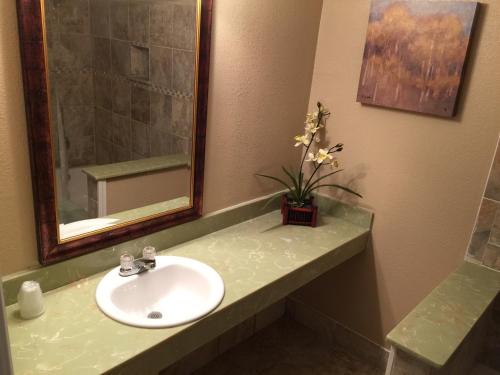 a bathroom with a sink and a mirror at Austin Motor Inn in Austin
