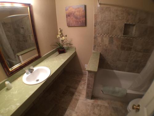 a bathroom with a sink and a shower and a tub at Austin Motor Inn in Austin