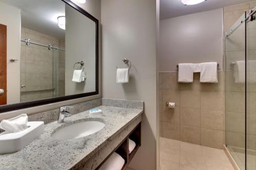 a bathroom with a sink and a mirror and a shower at Drury Plaza Hotel Cincinnati Florence in Florence