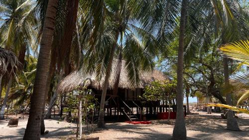 a hut on the beach with palm trees at Cabañas Casa de Agua in Boca del cielo
