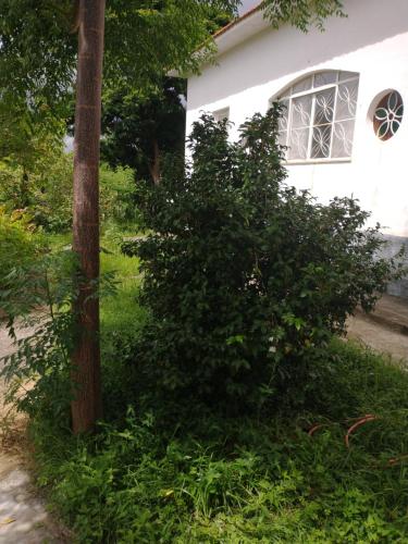Gallery image of Casa Delicia em Passa Quatro Até 6 pessoas in Passa Quatro