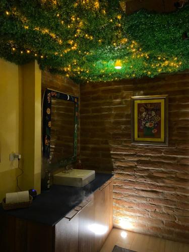 ein Bad mit einem Waschbecken und einer Decke mit Beleuchtung in der Unterkunft Canta La Rana in Quito