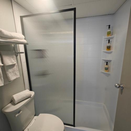 a bathroom with a shower with a toilet and a tub at Mountain Vista Inn & Suites - Walking Distance to the Island in Pigeon Forge