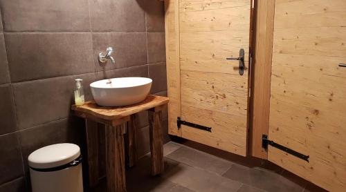 a bathroom with a sink and a toilet at Alphotel & Bergrestaurant Sankt Martin 