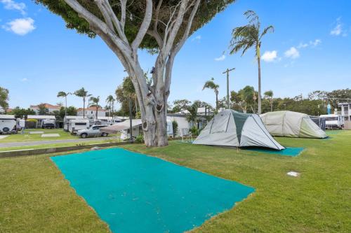 a tent and a tree on a green field at Nobby Beach Holiday Village in Gold Coast