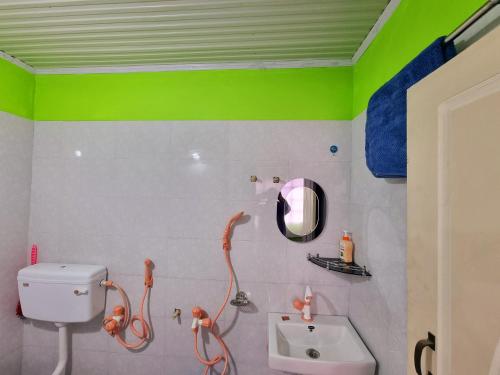 a bathroom with a toilet and a sink and a mirror at Neoravalley Homestay, Icche Gaon in Pedong