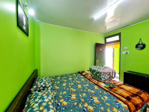 a bedroom with green walls and a bed in it at Neoravalley Homestay, Icche Gaon in Pedong