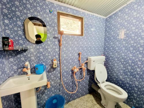 a bathroom with a toilet and a sink and a mirror at Neoravalley Homestay, Icche Gaon in Pedong