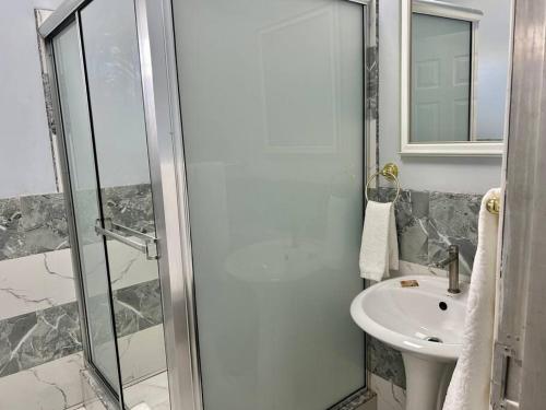 a bathroom with a shower and a sink at Piarco Airport Guest House in Piarco