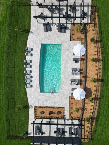 an overhead view of a pool with chairs and umbrellas at The Lane Retreat in Pokolbin