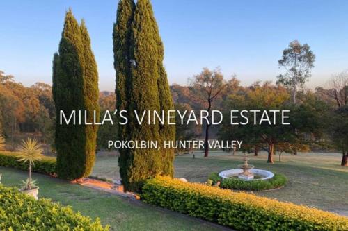 a park with trees and a fountain in a field at Milla's Vineyard Estate in Pokolbin