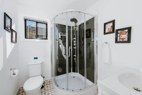 a white bathroom with a shower and a toilet at Canguri Boutique - A Memorable Farmstay near Mudgee in Piambong