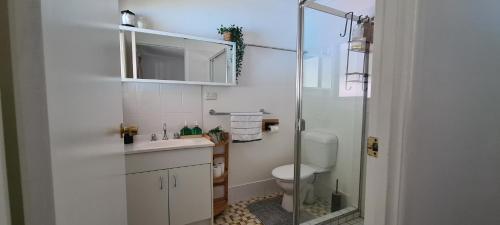 a bathroom with a toilet and a sink and a shower at Guesthouse in fantastic location in Brisbane