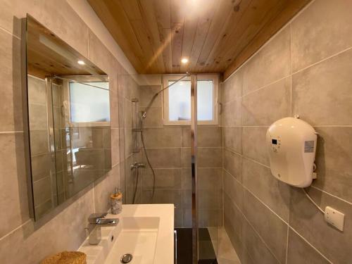 une salle de bain avec une douche, un lavabo et un miroir dans l'établissement Studio Calme et Cosy - 'Les 7 Sources', à Ouzous